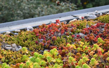 the cost of Fishwick green roof installation
