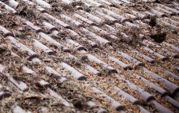 Fishwick roof cleaning companies