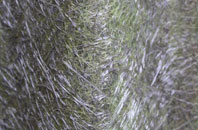 Fishwick fibreglass roof work